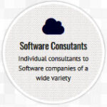 Software Consultants